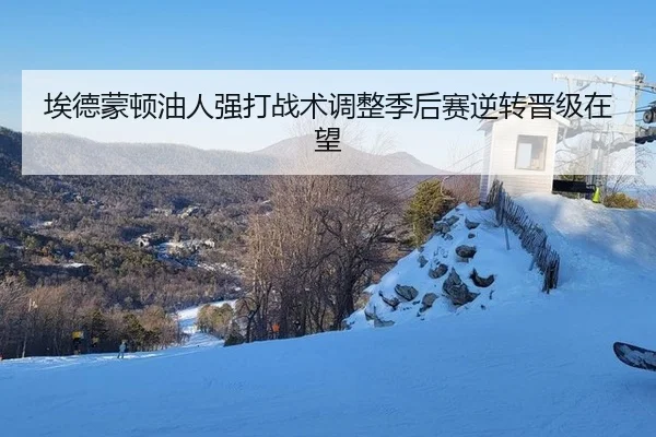 埃德蒙顿油人强打战术调整季后赛逆转晋级在望